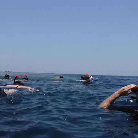Avana Hotel & Dive Center Pemuteran Dış mekan fotoğraf