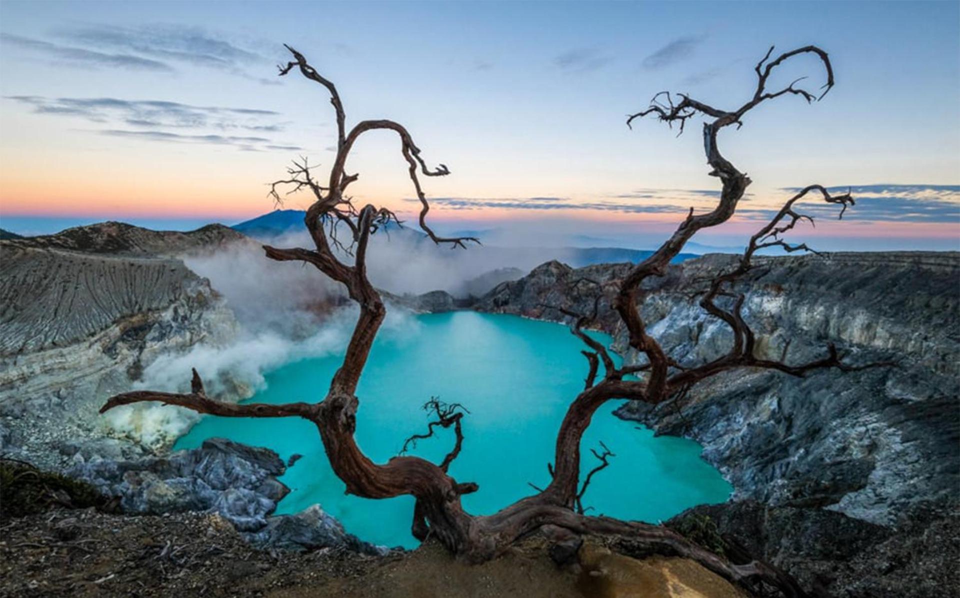 Avana Hotel & Dive Center Pemuteran Dış mekan fotoğraf